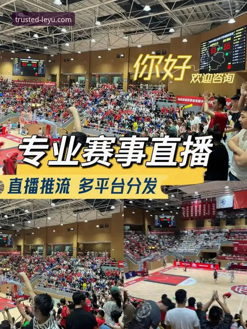 实战派分享：如何通过乐鱼体育平台流畅观看高清赛事直播